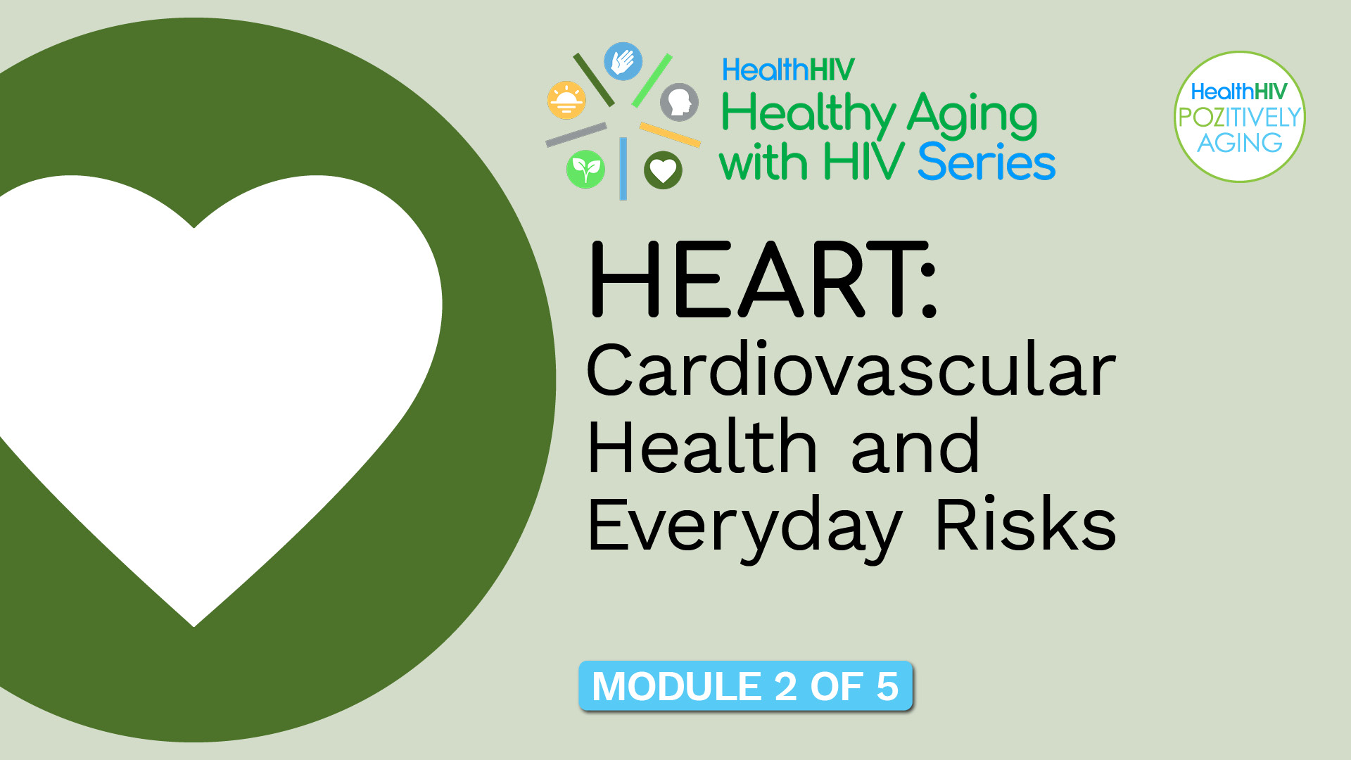 Heart: Cardiovascular Health and Everyday Risks